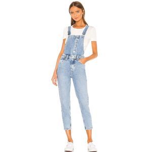 Free People Light Blue Denim Overalls